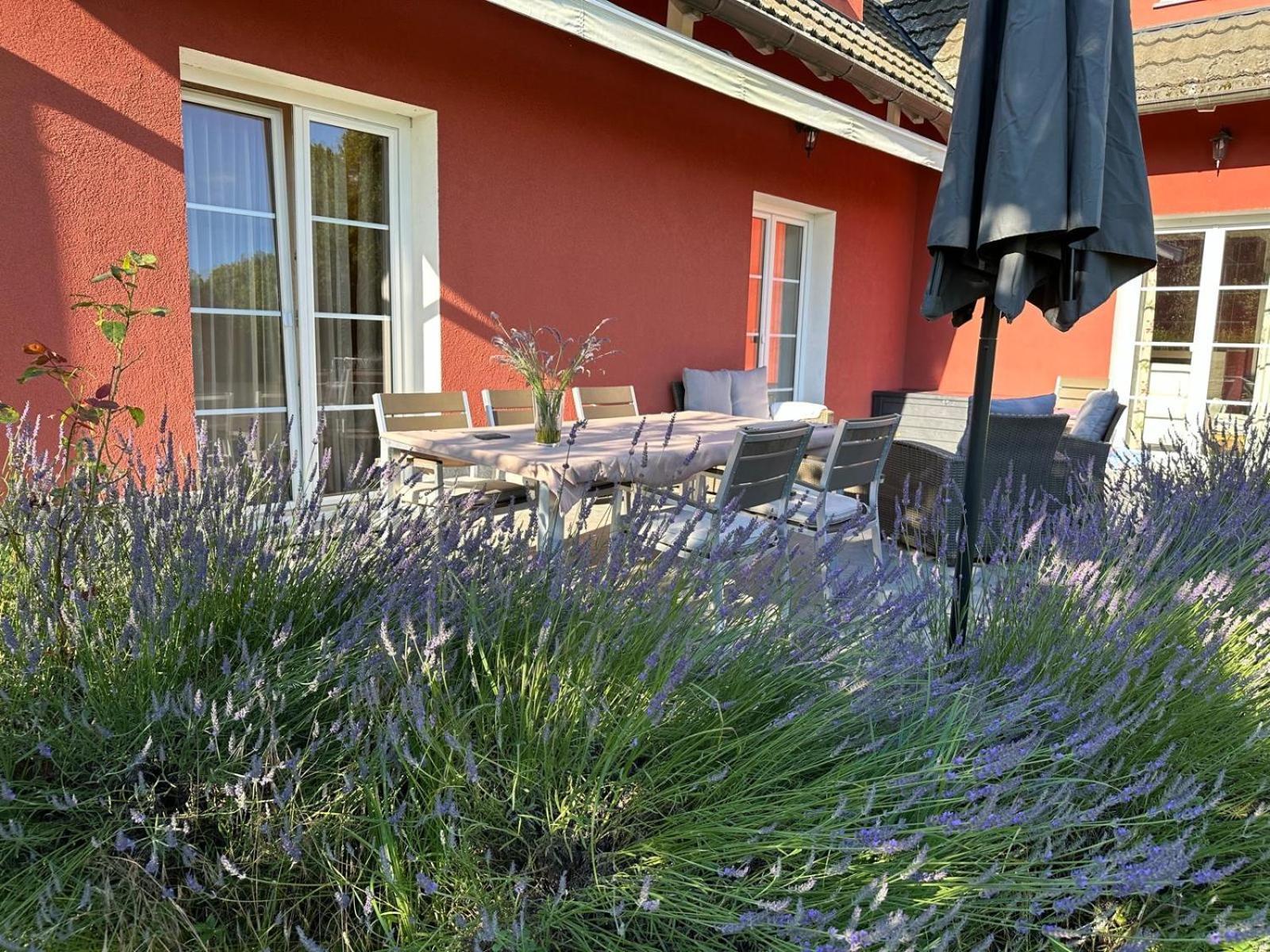 Linden Garden Apartment Postojna Extérieur photo